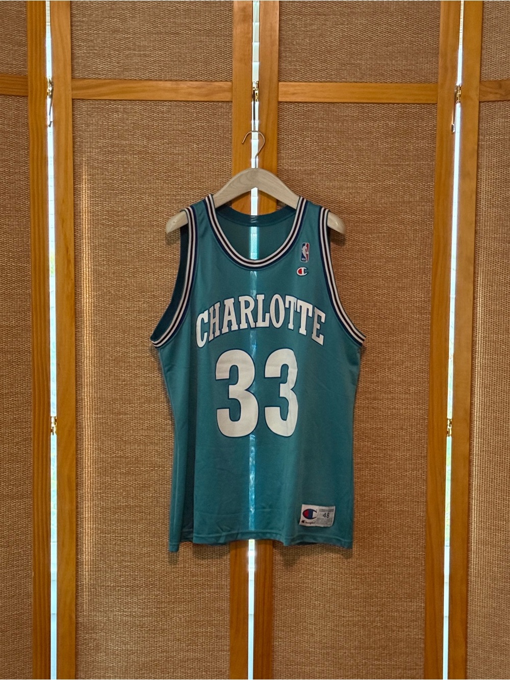 Vintage Champion Charlotte Hornets Alonzo Mourning Teal NBA Jersey Size 48
